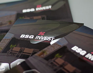 BSGinvest s.r.o.