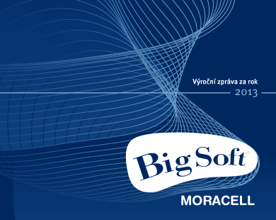 Moracell - Výroční zpráva